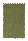 Fiddlehead