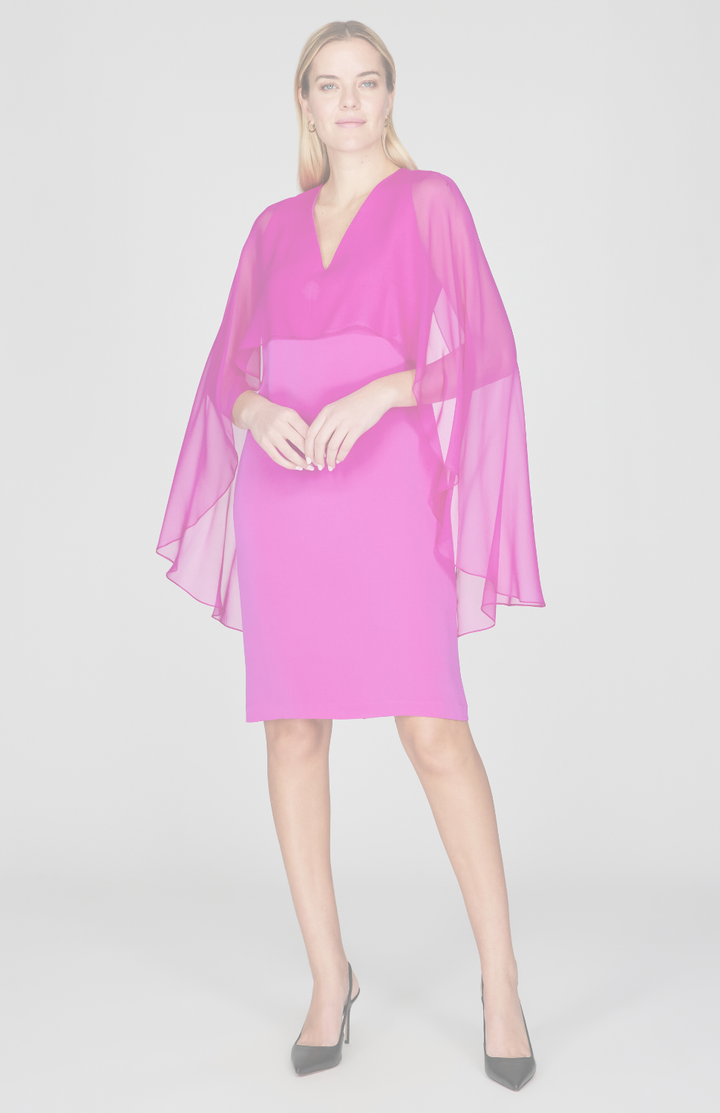 Silk Dress w/Chiffon V Neck Overlay