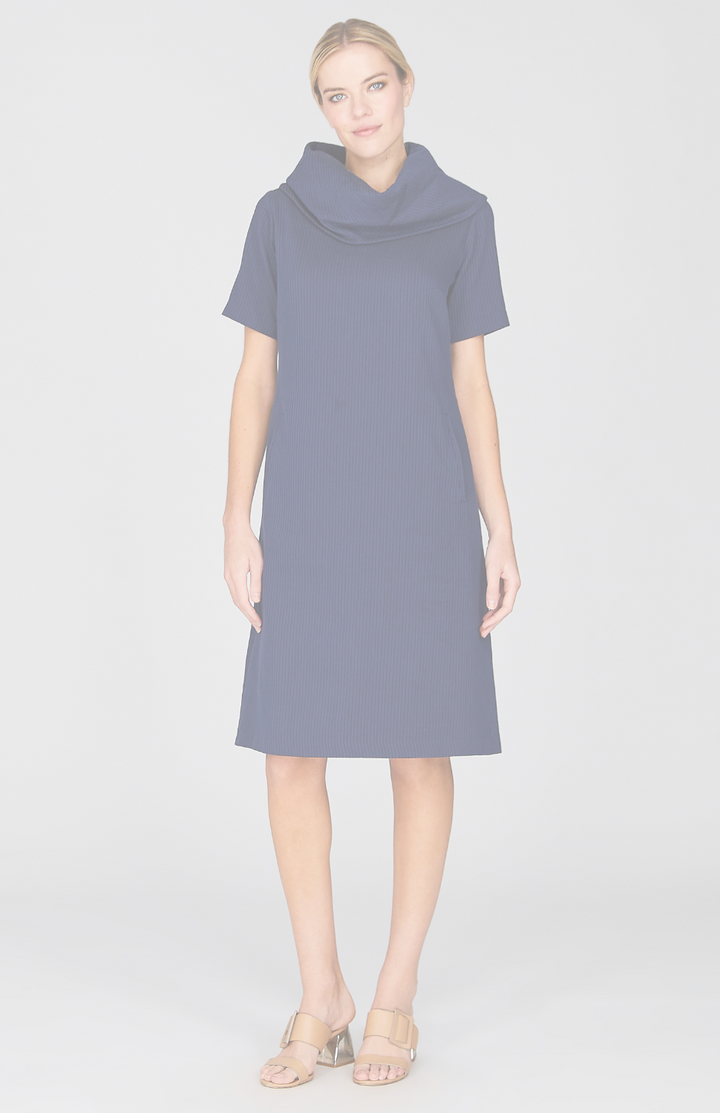 Sheer Stripe Oversized Cowl Dress w/Short Sleeve